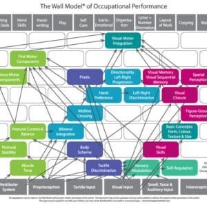 The Wall Model of Occupational Performance. A framework for clinical reasoning for paediatric occupational therapists developed by Bunty McDougall, occupational therapist.