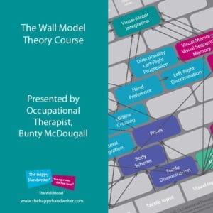 The Wall Model of Development Theory Course presented by Bunty McDougall, occupational therapist.