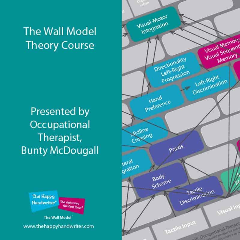 The Wall Model of Development Theory Course presented by Bunty McDougall, occupational therapist.